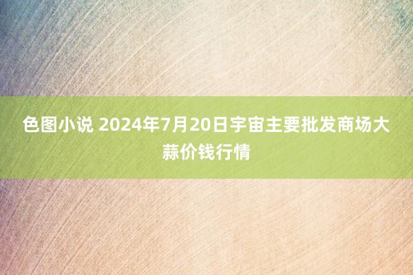 色图小说 2024年7月20日宇宙主要批发商场大蒜价钱行情