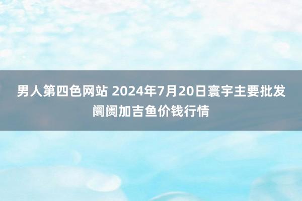 男人第四色网站 2024年7月20日寰宇主要批发阛阓加吉鱼价钱行情