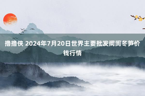 撸撸侠 2024年7月20日世界主要批发阛阓冬笋价钱行情