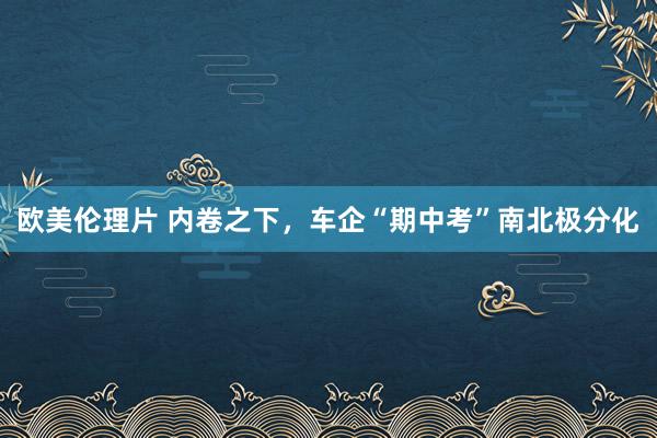 欧美伦理片 内卷之下，车企“期中考”南北极分化