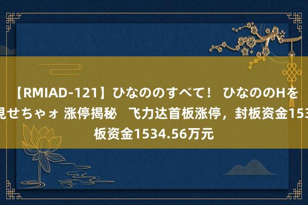 【RMIAD-121】ひなののすべて！ ひなののHをいっぱい見せちゃォ 涨停揭秘   飞力达首板涨停，封板资金1534.56万元