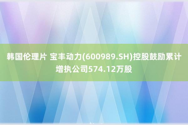 韩国伦理片 宝丰动力(600989.SH)控股鼓励累计增执公司574.12万股