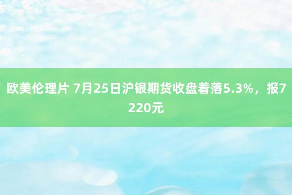 欧美伦理片 7月25日沪银期货收盘着落5.3%，报7220元