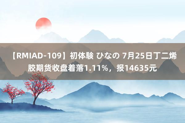 【RMIAD-109】初体験 ひなの 7月25日丁二烯胶期货收盘着落1.11%，报14635元