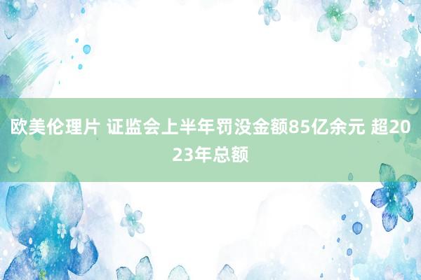 欧美伦理片 证监会上半年罚没金额85亿余元 超2023年总额