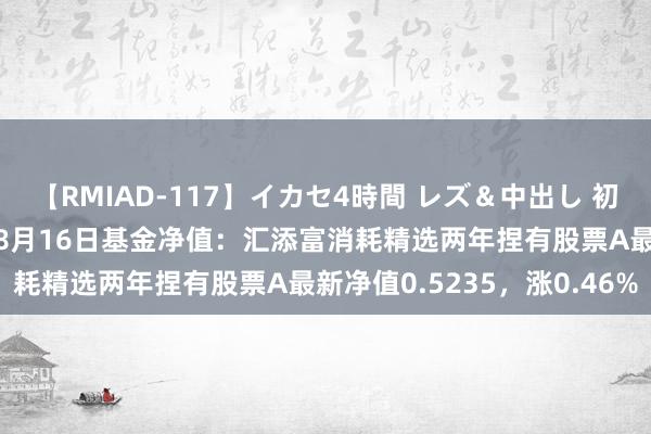 【RMIAD-117】イカセ4時間 レズ＆中出し 初解禁スペシャル ひなの 8月16日基金净值：汇添富消耗精选两年捏有股票A最新净值0.5235，涨0.46%