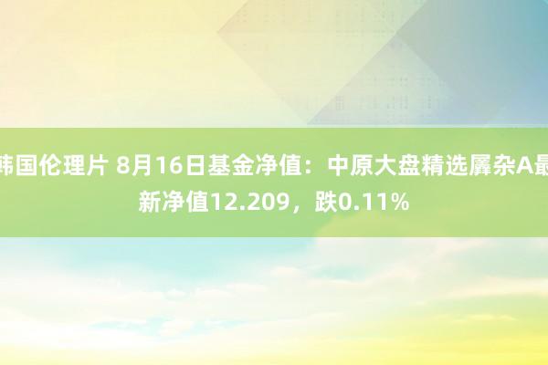 韩国伦理片 8月16日基金净值：中原大盘精选羼杂A最新净值12.209，跌0.11%