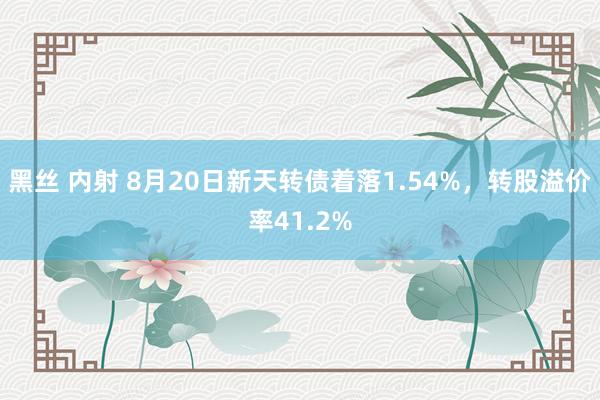 黑丝 内射 8月20日新天转债着落1.54%，转股溢价率41.2%