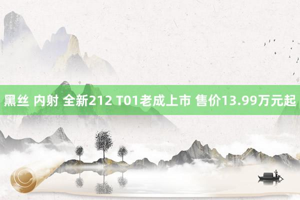 黑丝 内射 全新212 T01老成上市 售价13.99万元起