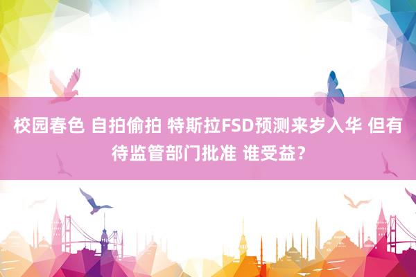 校园春色 自拍偷拍 特斯拉FSD预测来岁入华 但有待监管部门批准 谁受益？