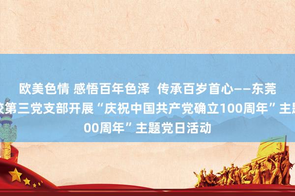 欧美色情 感悟百年色泽  传承百岁首心——东莞番邦语学校第三党支部开展“庆祝中国共产党确立100周年”主题党日活动