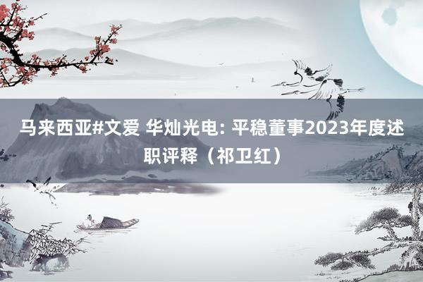 马来西亚#文爱 华灿光电: 平稳董事2023年度述职评释（祁卫红）